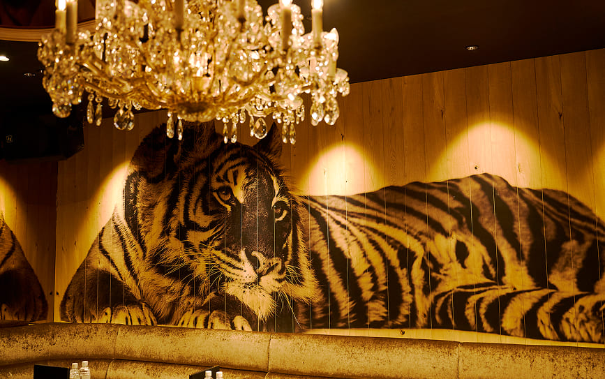 CLUB ZOO KANAZAWA 虎壁画